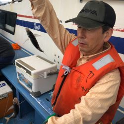 ヤザワ渡船 釣果