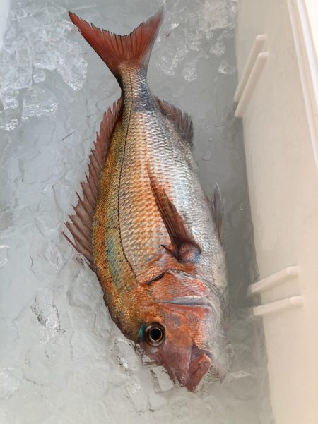 第二八坂丸 釣果