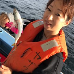 ヤザワ渡船 釣果