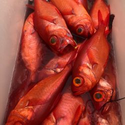 ＴＡＲＯＭＡＲＵ 釣果