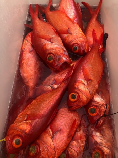 ＴＡＲＯＭＡＲＵ 釣果