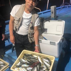ヤザワ渡船 釣果