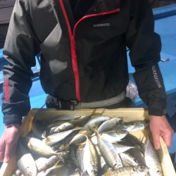 ヤザワ渡船 釣果