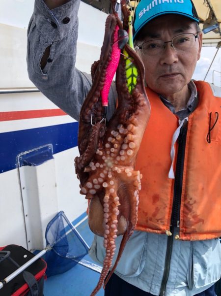 ヤザワ渡船 釣果