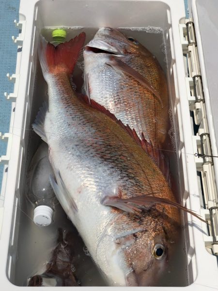 第二八坂丸 釣果