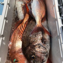 第二八坂丸 釣果