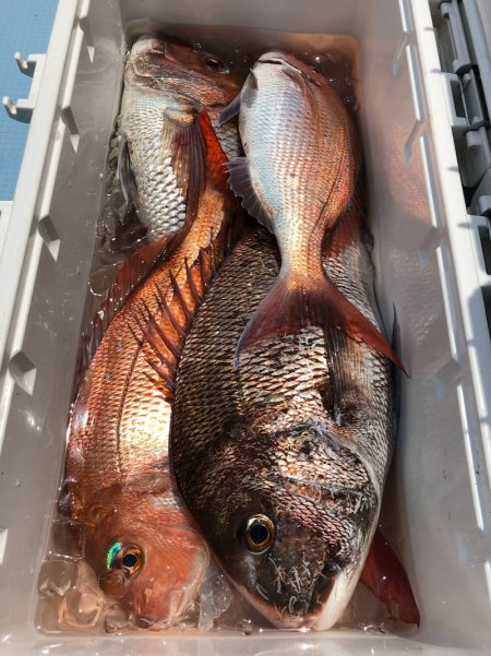 第二八坂丸 釣果