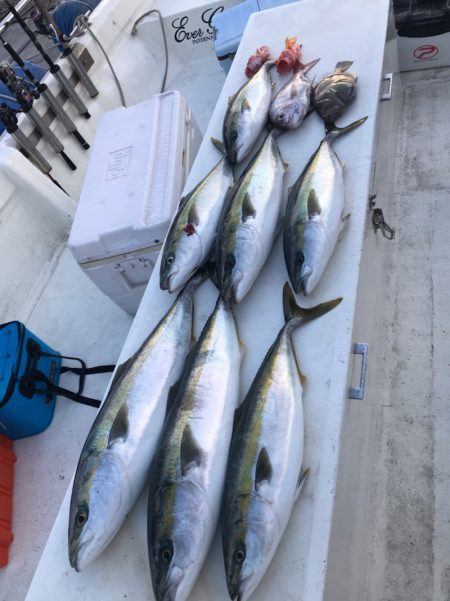 Monster Rush! 釣果