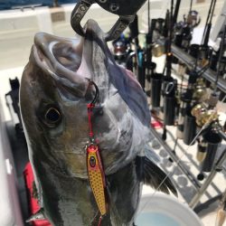 Monster Rush! 釣果