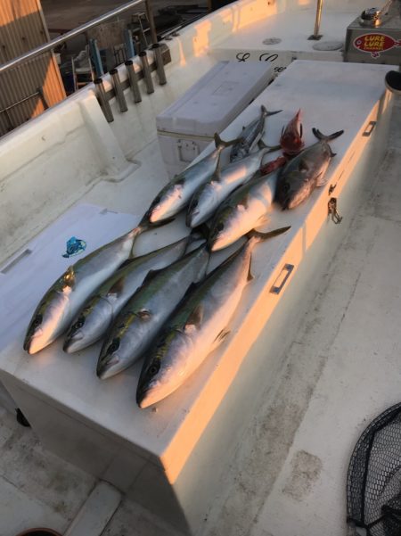 Monster Rush! 釣果