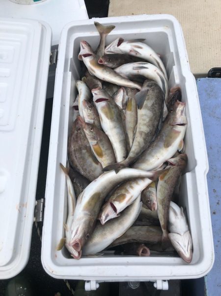 第二　つれたか丸 釣果