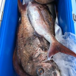 第二八坂丸 釣果