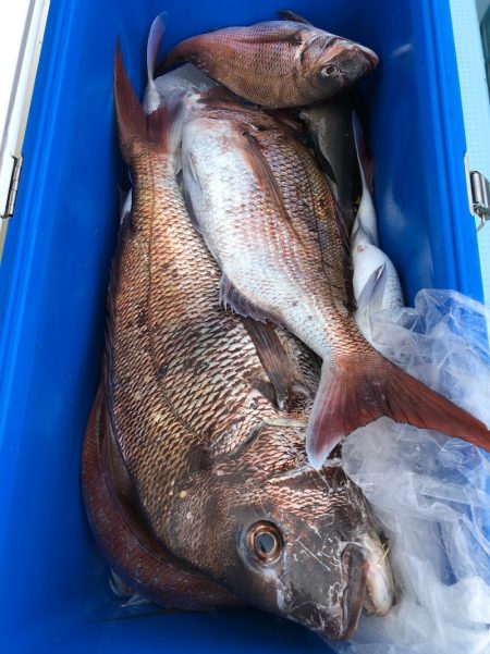 第二八坂丸 釣果