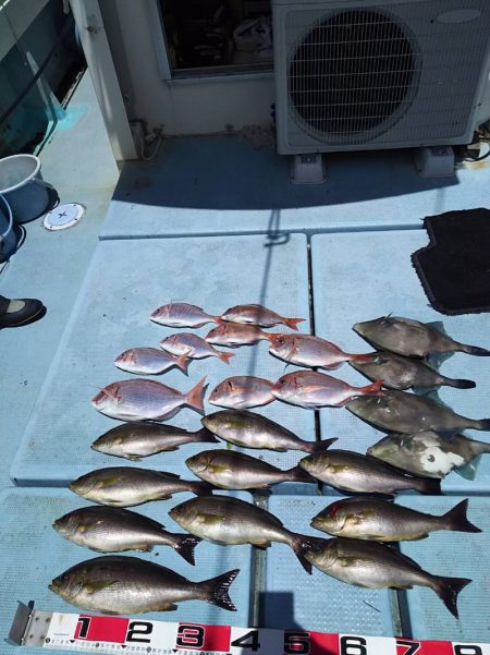 清和丸 釣果