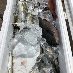 第二八坂丸 釣果