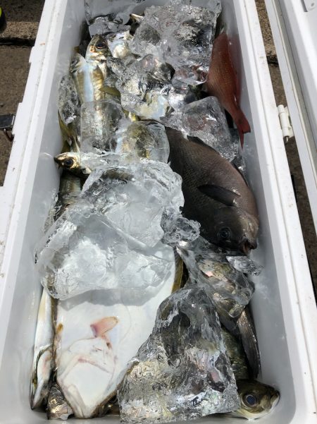 第二八坂丸 釣果