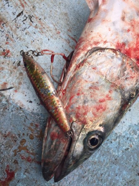 ぽん助丸 釣果