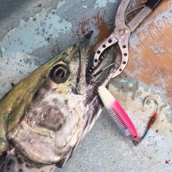 ぽん助丸 釣果