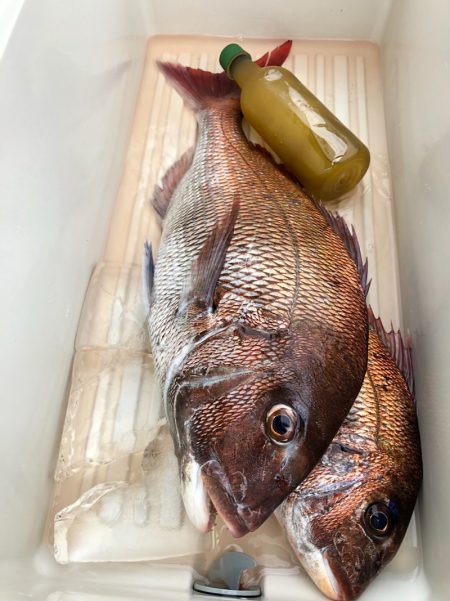 第二八坂丸 釣果