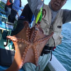 ヤザワ渡船 釣果