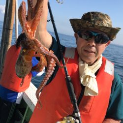 ヤザワ渡船 釣果