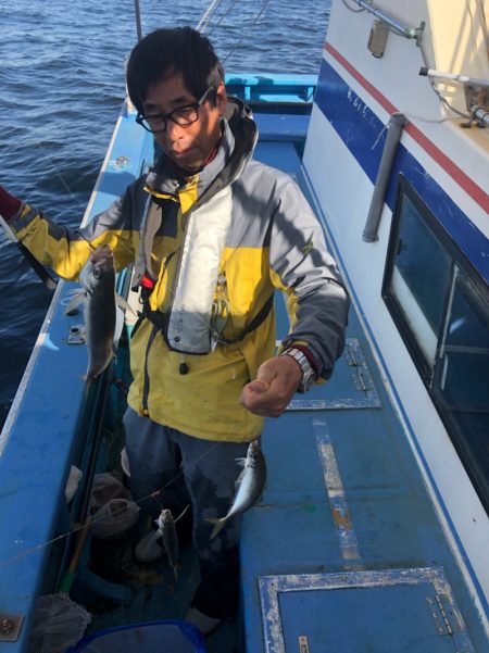 ヤザワ渡船 釣果