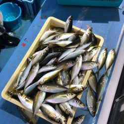 ヤザワ渡船 釣果