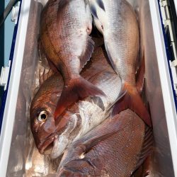 第二八坂丸 釣果