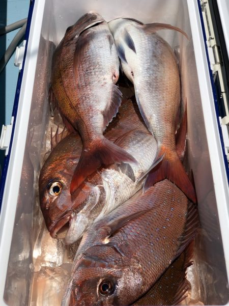 第二八坂丸 釣果