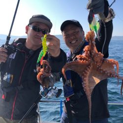 ビッグファイター 釣果