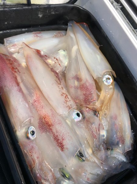 「LaGooN」蒼陽丸 日和号　 釣果