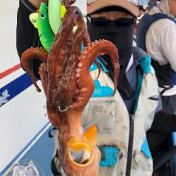 ヤザワ渡船 釣果