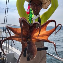 ビッグファイター 釣果