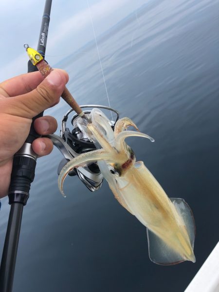 「LaGooN」蒼陽丸 日和号 釣果