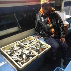 ヤザワ渡船 釣果