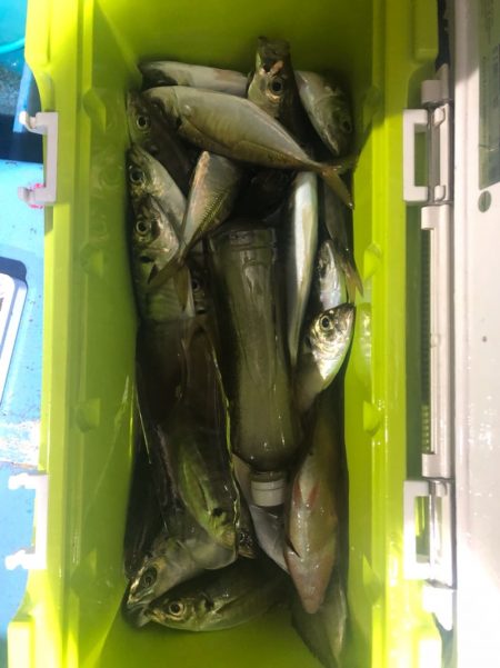 ヤザワ渡船 釣果