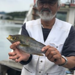 丸万釣船 釣果