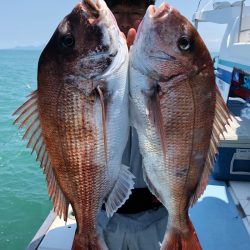 第二八坂丸 釣果