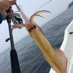 「LaGooN」蒼陽丸 日和号　 釣果