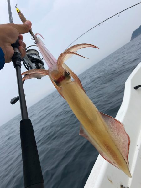 「LaGooN」蒼陽丸 日和号　 釣果