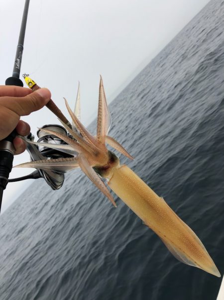 「LaGooN」蒼陽丸 日和号　 釣果