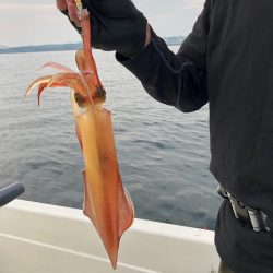 「LaGooN」蒼陽丸 日和号 釣果