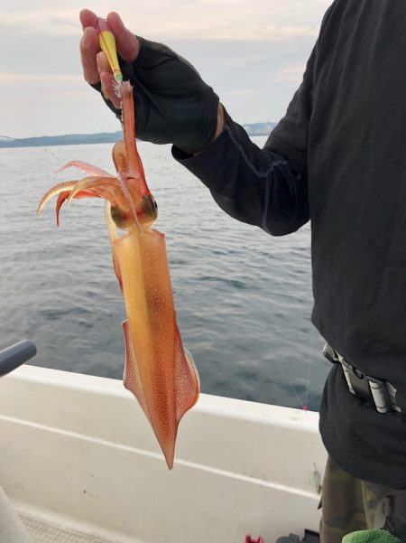 「LaGooN」蒼陽丸 日和号 釣果