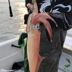 「LaGooN」蒼陽丸 日和号 釣果