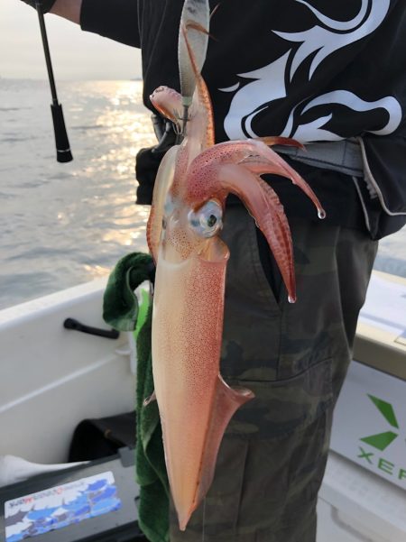 「LaGooN」蒼陽丸 日和号 釣果