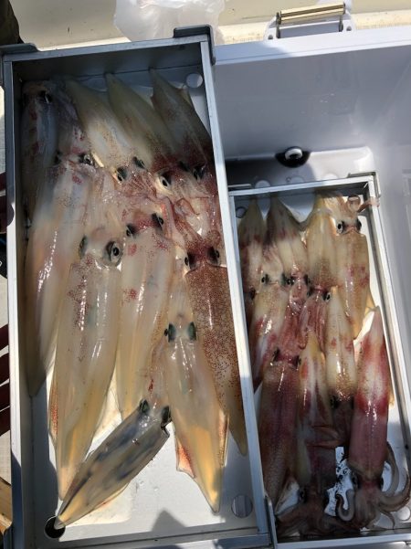 「LaGooN」蒼陽丸 日和号 釣果