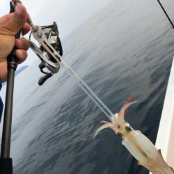「LaGooN」蒼陽丸 日和号 釣果