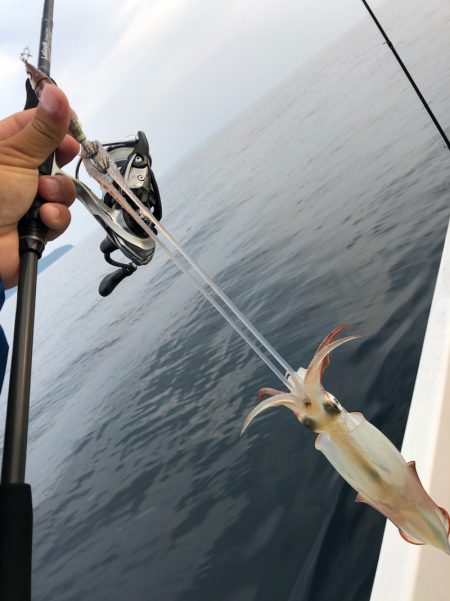 「LaGooN」蒼陽丸 日和号 釣果