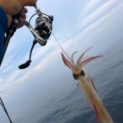 「LaGooN」蒼陽丸 日和号 釣果