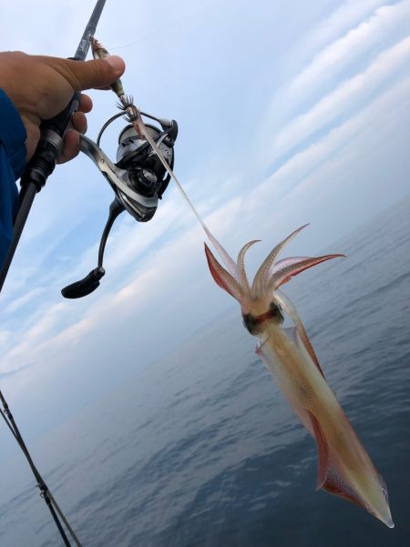 「LaGooN」蒼陽丸 日和号 釣果